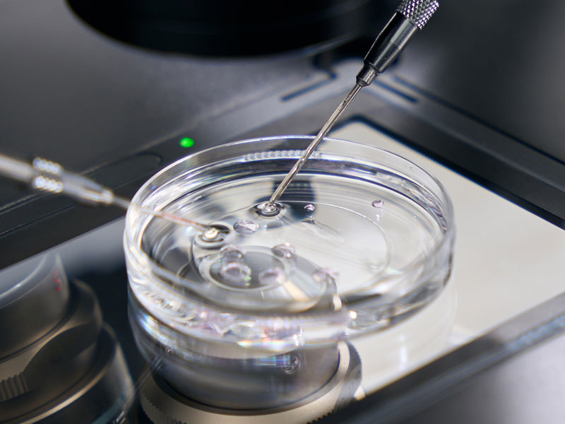 Fertility Clinics Embryo Disaster Investigation | Cooper Surgical